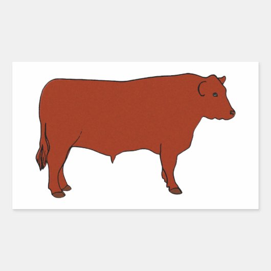 Red Angus Bull Rechteckiger Aufkleber (Vorderseite)