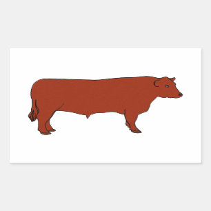 Red Angus Bull Rechteckiger Aufkleber