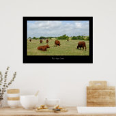 Red Angus Cattle Poster Print (Küche)