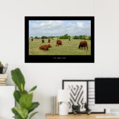 Red Angus Cattle Poster Print (Heimbüro)
