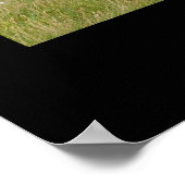 Red Angus Cattle Poster Print (Ecke)