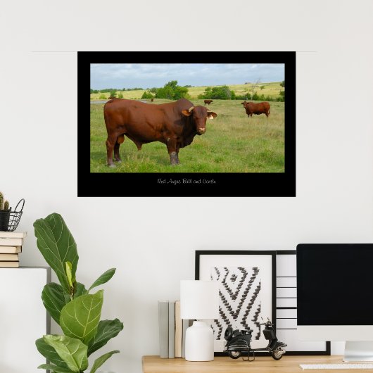 Red Angus Cattle Poster Print (Heimbüro)