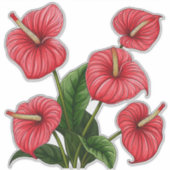 Red Anthurium Flowers with Green Leaves Aufkleber (Vorderseite)
