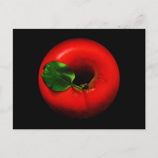 Red Apple Design Postkarte