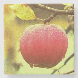 "Red Apple" Niedliches Foto. Jetzt kaufen Steinuntersetzer