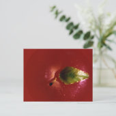 Red Apple Postkarte (Stehend Vorderseite)