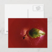 Red Apple Postkarte (Vorne/Hinten)
