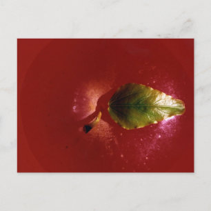 Red Apple Postkarte