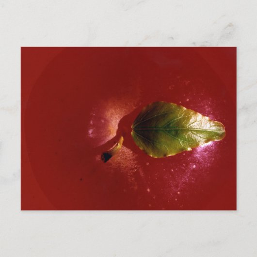 Red Apple Postkarte (Vorderseite)