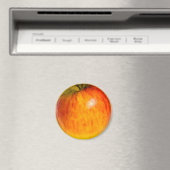 Red Apple Watercolor - Magnet (In Situ (Geschirrspüler))