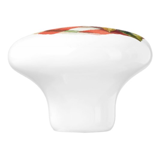 Red Apples and Red Gingham Kitchen Keramikknauf (Seitenansicht)