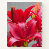 Red Asiatic Lilies Floral Notebook Notizblock