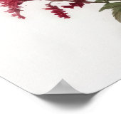 Red Astilbe Blumen Art Print Poster (Ecke)