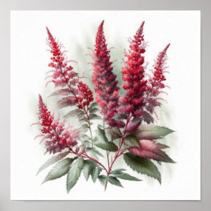 Red Astilbe Blumen Art Print Poster
