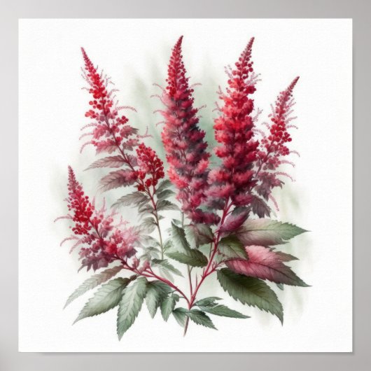 Red Astilbe Blumen Art Print Poster (Vorne)