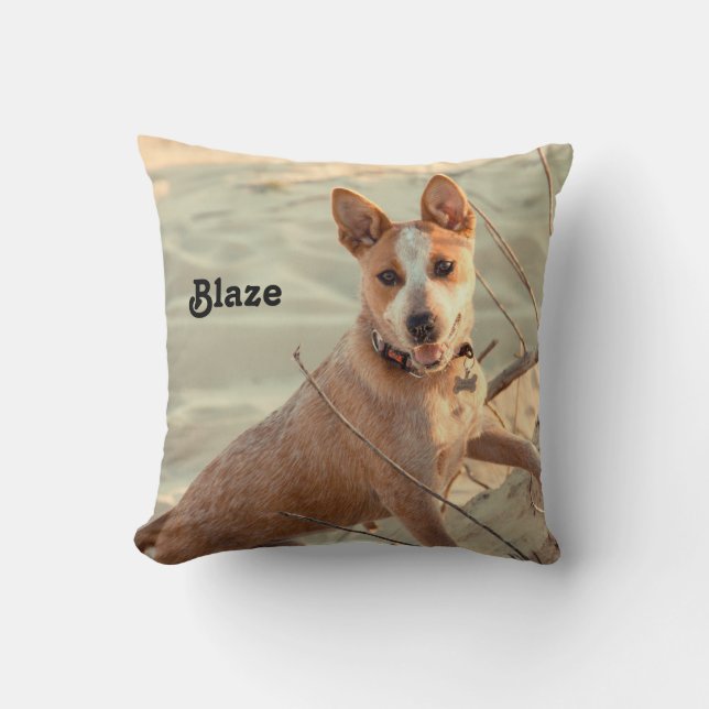 Red Australian Cattle Dog - Heeler - im Schnee Kissen (Vorderseite)