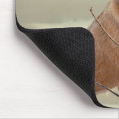 Red Australian Cattle Dog - Heeler - im Schnee Mousepad (Ecke)