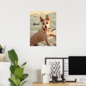 Red Australian Cattle Dog - Heeler - im Schnee Poster (Heimbüro)