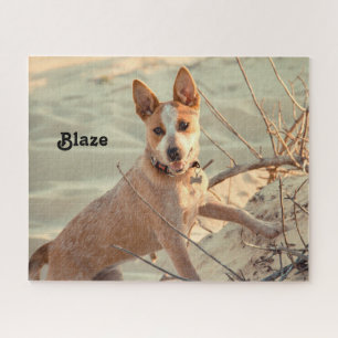 Red Australian Cattle Dog - Heeler - im Schnee Puzzle