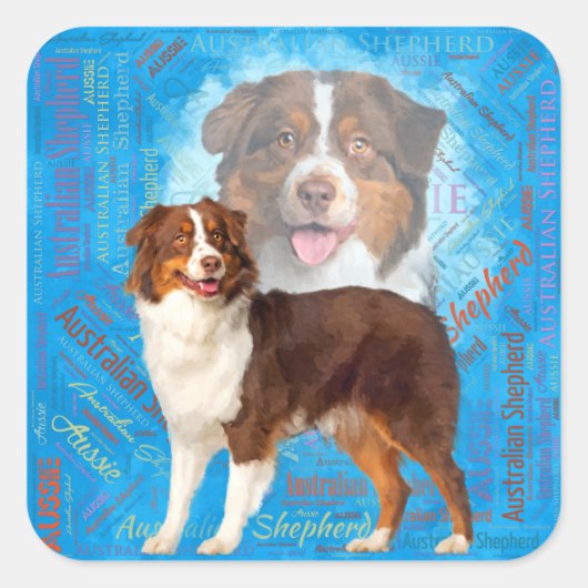 Red Australian Shepherd dogs - Aussie Quadratischer Aufkleber (Vorderseite)