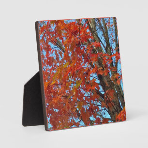 Red Autumn Leaves Fotoplatte