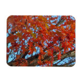 Red Autumn Leaves Magnet (Horizontal)