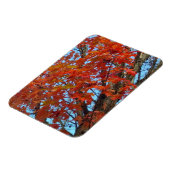 Red Autumn Leaves Magnet (Linke Seite)