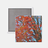 Red Autumn Leaves Magnet (Vorderseite/Rückseite)