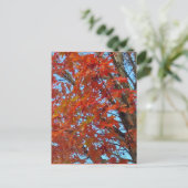 Red Autumn Leaves Postkarte (Stehend Vorderseite)