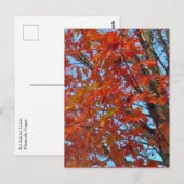 Red Autumn Leaves Postkarte (Vorne/Hinten)