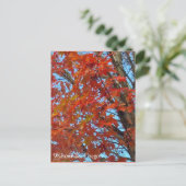 Red Autumn Leaves Postkarte (Stehend Vorderseite)