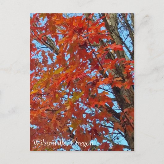 Red Autumn Leaves Postkarte (Vorderseite)