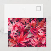 Red Autumn Leaves Postkarte (Vorne/Hinten)