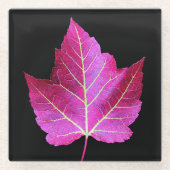 Red Autumn Maple Leaf on Black Floral Glasuntersetzer (Vorderseite)