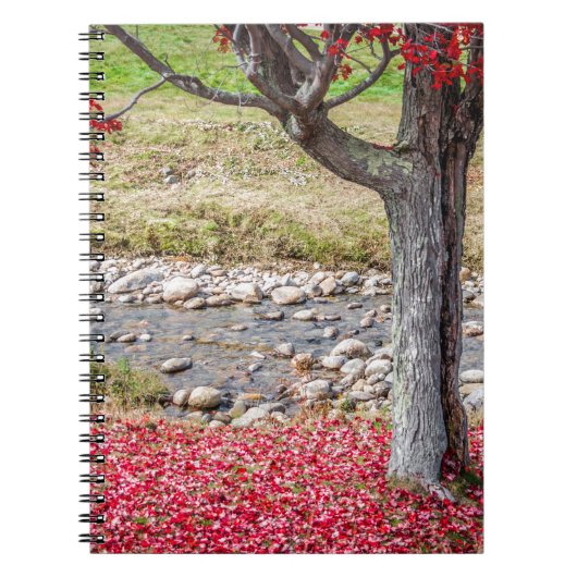 Red Autumn Tree Notebook Notizblock (Vorderseite)