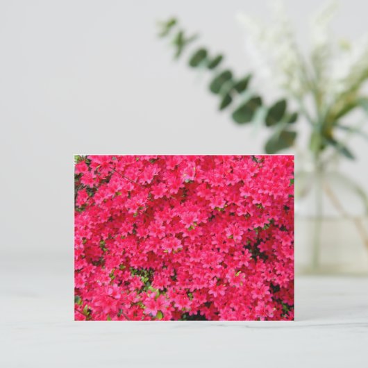 Red Azalea Blume Patch Postkarte (Stehend Vorderseite)