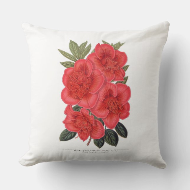 Red Azalea indica Kissen (Vorderseite)