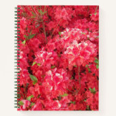 Red Azalea Notebook Notizblock (Vorderseite)
