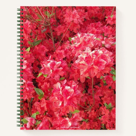 Red Azalea Notebook Notizblock (Vorderseite)
