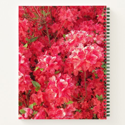Red Azalea Notebook Notizblock (Rückseite)