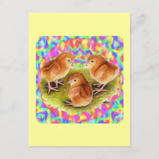 Red Baby Chicks Postkarte (Vorderseite)