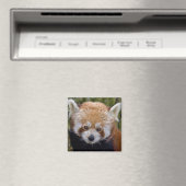 Red Bandit Magnet (In Situ (Geschirrspüler))