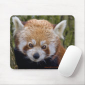 Red Bandit Mousemat Mousepad (Mit Mouse)