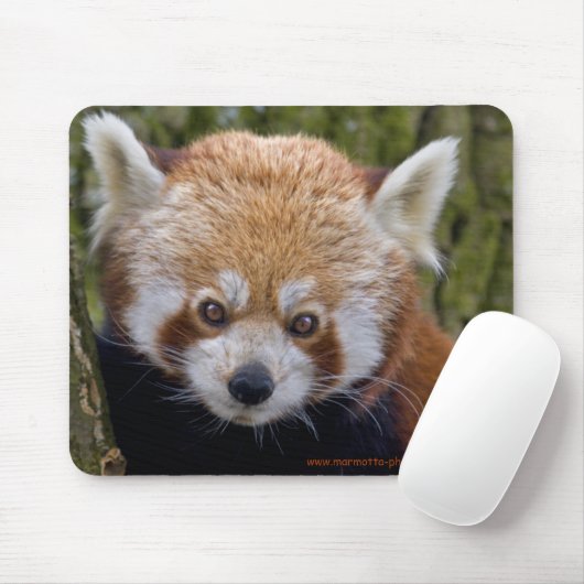 Red Bandit Mousemat Mousepad (Mit Mouse)