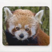 Red Bandit Mousemat Mousepad (Vorne)