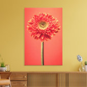Red Barberton Gerbera Daisy Blume Leinwanddruck (Insitu (Wohnzimmer))