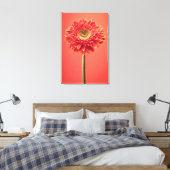Red Barberton Gerbera Daisy Blume Leinwanddruck (Insitu (Schlafzimmer))