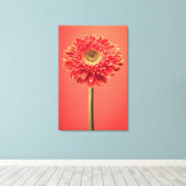 Red Barberton Gerbera Daisy Blume Leinwanddruck (Insitu (Holzboden))