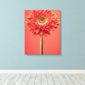 Red Barberton Gerbera Daisy Blume Leinwanddruck (Insitu (Holzboden))