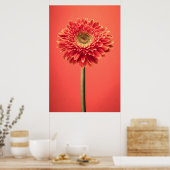 Red Barberton Gerbera Daisy Blume Poster (Küche)